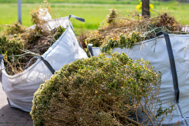 Attic Cleanout Services in Deenwood, GA